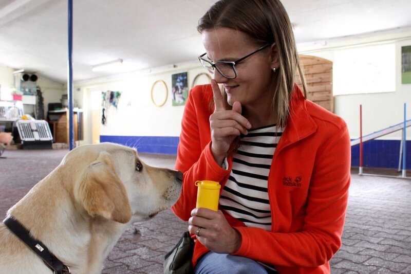 Sandra Kieser mit Diabeteshündin Lucy – Lucy ist ein Labrador und lernt in der Hundeschule, wie sie optimal für ihr Frauchen funktionieren muss. Mit der gelben Dose trainiert sie Lucy auf den Geruch „Unterzucker“. Die Übungen auf dem schwarzen Bottich dienen zum Üben von Gehorsam. Das ist äußerst wichtig, da ein Diabeteshund sich voll auf seinen Menschen konzentrieren muss in der täglichen Arbeit. – Bild: BR