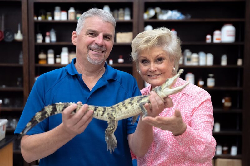 Presenterin Angela Rippon besucht Dr. Mark Merchant von der McNeese State University in Louisiana/​USA. Er ist davon überzeugt, dass im Blut von Alligatoren Substanzen enthalten sind, die die Grundlage für völlig neuartige Antibiotika sein könnten. – Bild: Jonathon Aiken