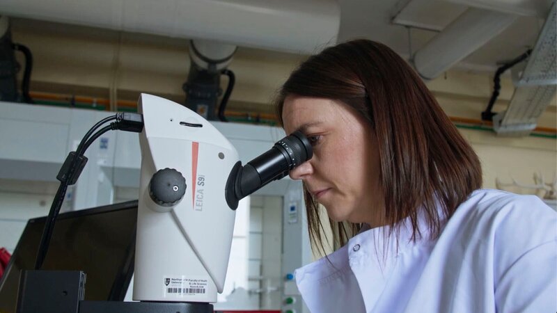 Eine Frau schaut durch ein Mikroskop – Bild: CiFlx /​ Crime + Investigation /​ Liza Chambers
