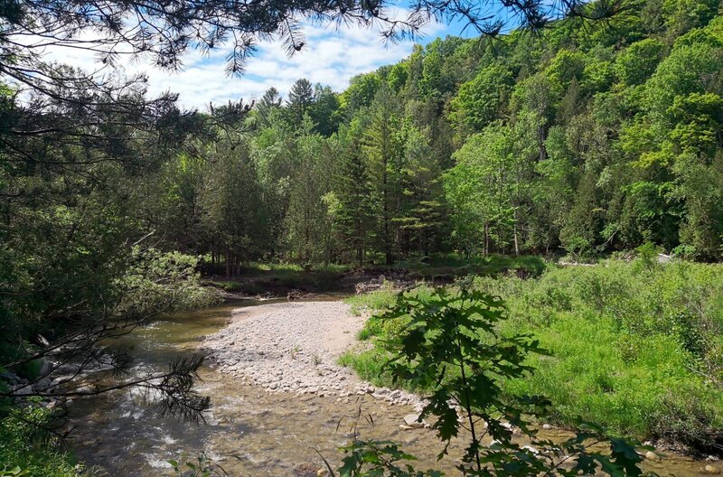 Rouge River, Rouge National Urban Park. – Bild: ZDF und SR/​Karl Teuschl
