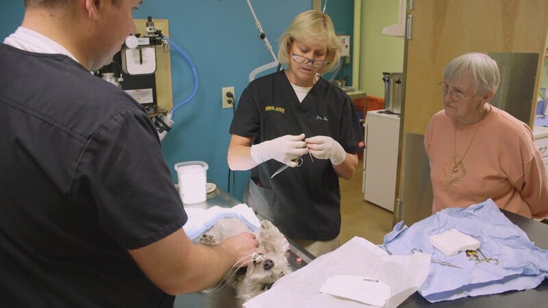 . – Bild: Warner Bros. Discovery