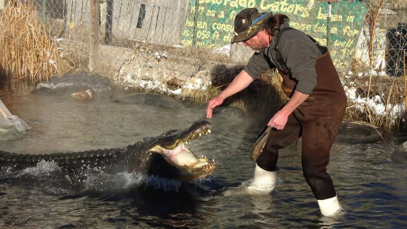 Colorado Gators and Reptile Park Ranch visit. – Bild: Animal Planet /​ Discovery Communications