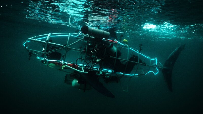 Der mechanische Hai. – Bild: Warner Bros. Discovery