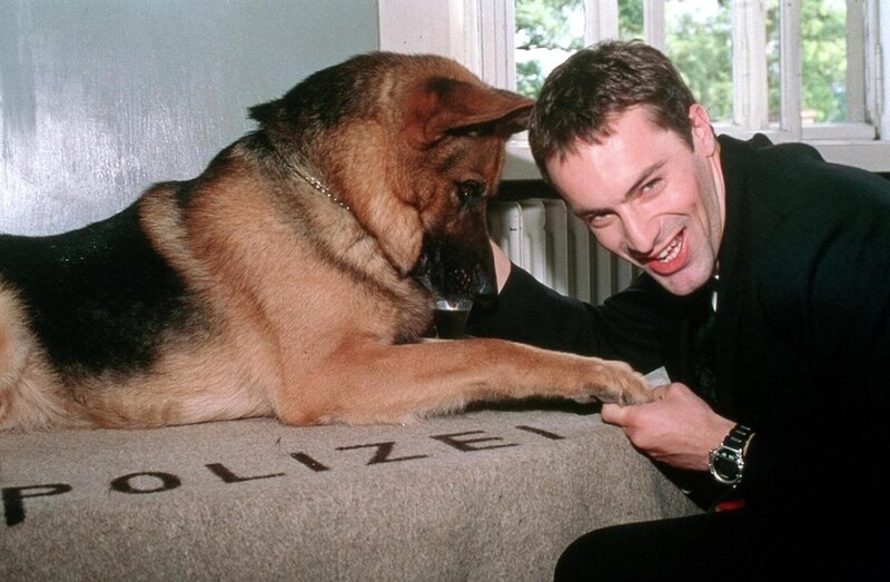 Im Bild: Gedeon Burkhard/​Szene: – Bild: ORF (FS1/​FS2)