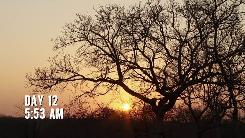 Sonnenaufgang und Beginn von Tag 12. – Bild: Discovery