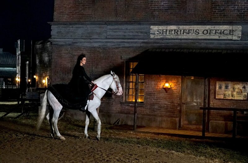 Bild: 2021 Cattleya Srl