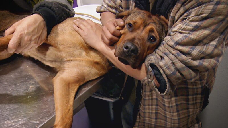 . – Bild: Warner Bros. Discovery