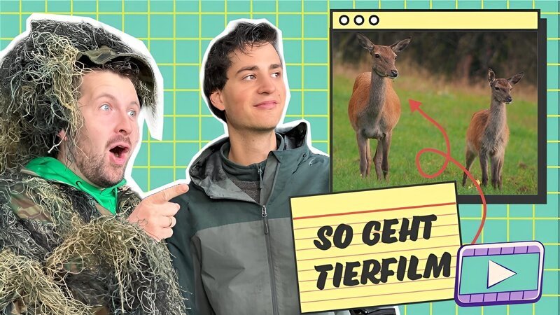Abenteuer Tierfilm – Bild: KiKA