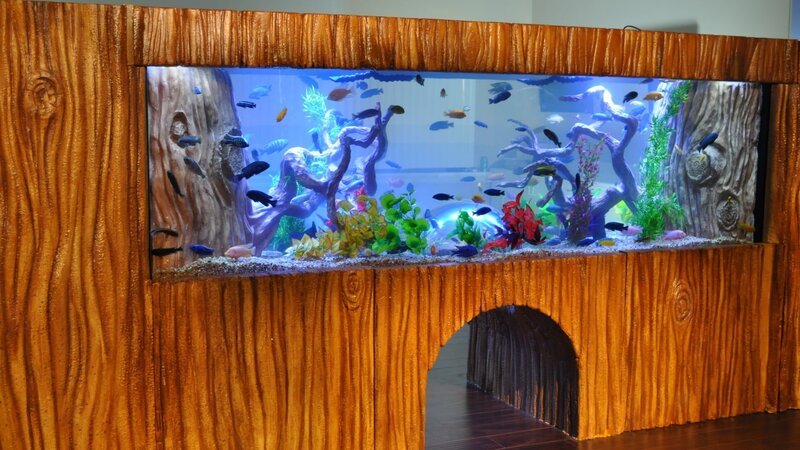 The finished Camp Ojai aquarium. – Bild: Animal Planet /​ Photobank 32129_ep312_005.jpg /​ Discovery Communications