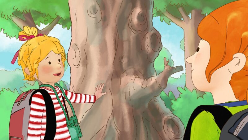 Die Rinde einer alten Eiche ist ganz rau und hubbelig. – Bild: ZDF/​Henning Windelband/​Youngfilms GmbH