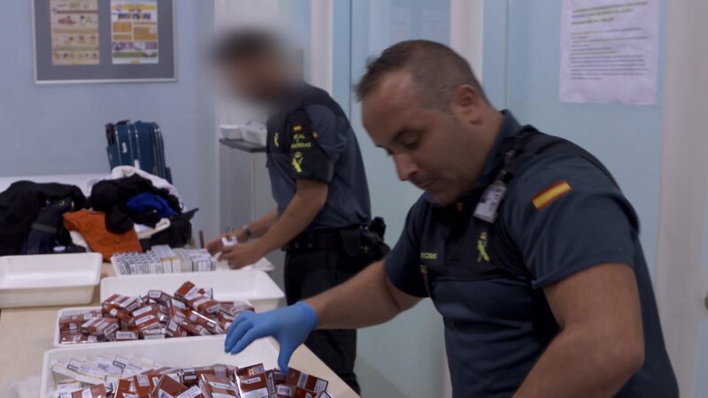 Bild: Discovery Channel