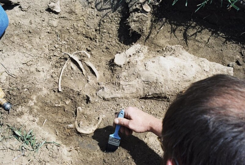 Bild: Oxygen Cable LLC