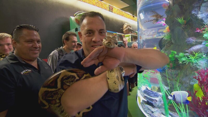 Wayde King – Bild: Animal Planet /​ Discovery Communications