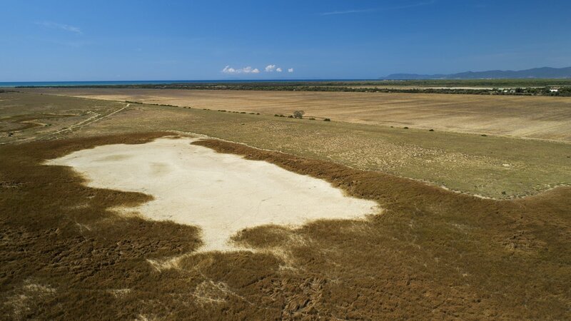 Dürresommer in der Maremma: In der heißen Jahreszeit trocknen Sümpfe und Feuchtwiesen im Naturpark aus. – Bild: ZDF/​Valter Torri – DocumentAria film