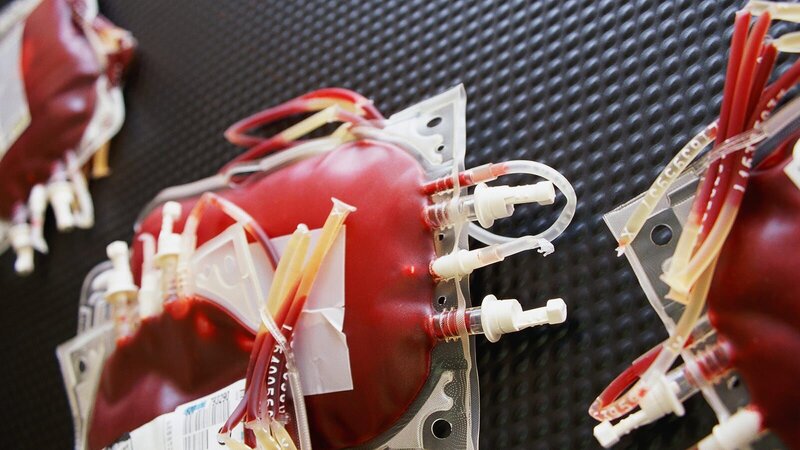 (s13e02 Discovery) – Bild: Getty Images