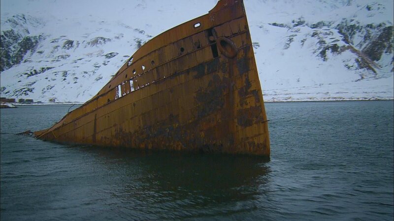 Der Princess Sophia. – Bild: Discovery Channel