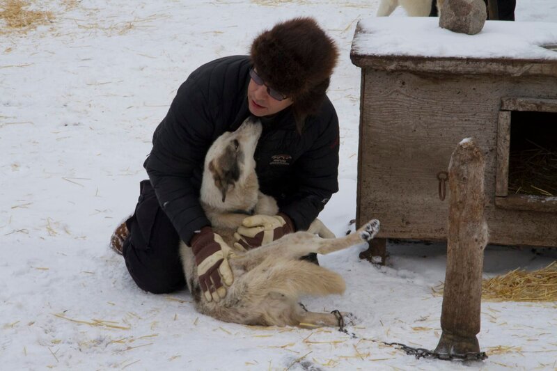 Man playing with his dog. – Bild: Animal Planet Man playing with his dog. – Bild: Animal Planet