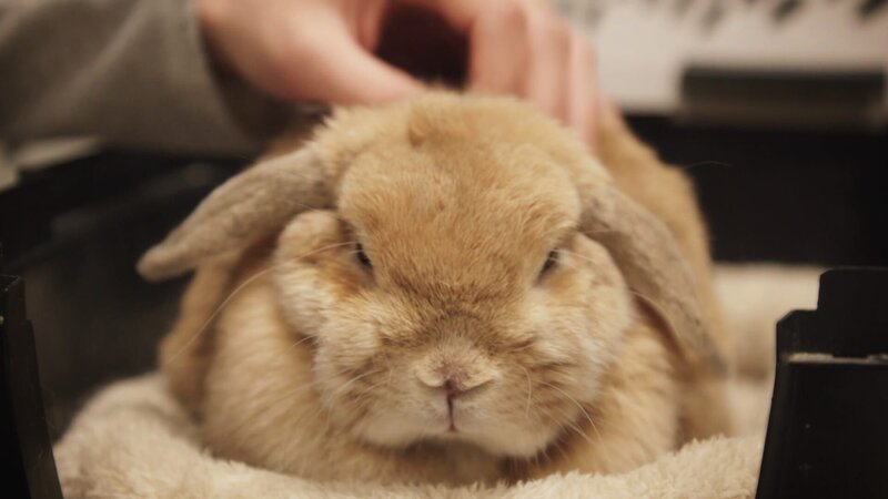 . – Bild: Warner Bros. Discovery