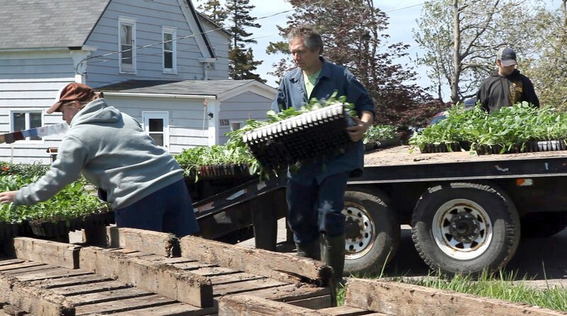 Glen Rhodenizer baut Kohl für Sauerkraut an. Seine Familie ist vor 10 Generationen aus Norddeutschland eingewandert. – Bild: NDR/​Tell Tale Productions