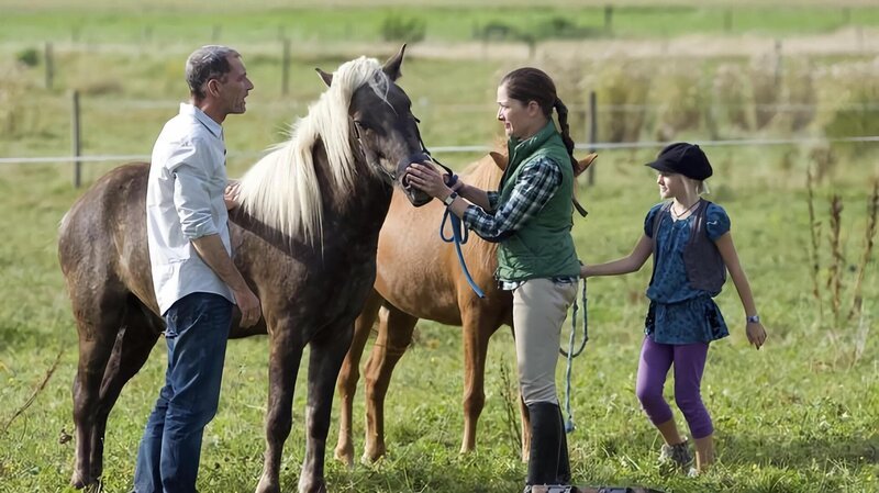 SENDER: ARD – SENDETITEL: Tiere bis unters Dach Folge 38 – UNTERTITEL: Goldesel – CAPTION: ARD/​SWR TIERE BIS UNTERS DACH FOLGE 38, ‚Goldesel‘, am Montag (01.04.13) um 09:00 Uhr im ERSTEN. Tierarzt Philip Hansen (Heikko Deutschmann) schaut sich in Begleitung von Nelly (Jule-Marleen Schuck) die Pferde von Reitstallbesitzerin Graetz (Doris Böhm) an. – Bild: SWR/​Maria Wiesler