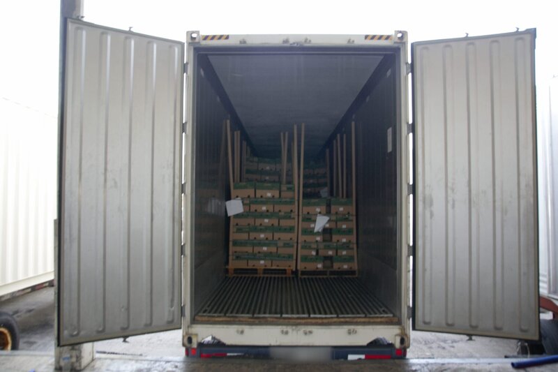 Bild: National Geographic