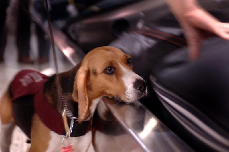 Tausende von Männern und Frauen widmen ihr Leben dem Schutz der australischen Grenze. Als Grenzbeamte stoßen sie bei ihrer Arbeit gegen Terrorismus, Schmuggel, illegale Einwanderer, Menschen- und Drogenhandel zum Teil auf äußerst kuriose Fälle … – Bild: Seven Productions