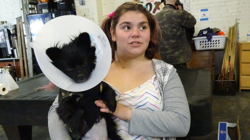 Alexander Dismore brought his cat Princess Utah in because she had a broken leg. – Bild: Animal Planet