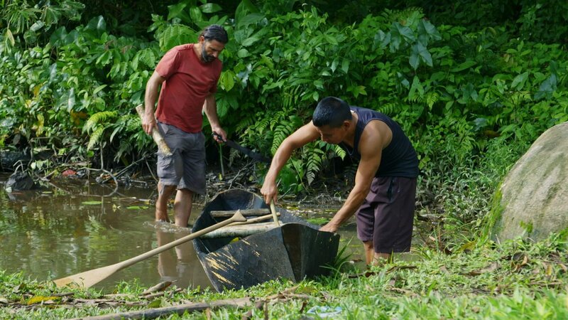 Hazen bei einem Spaziergang durch einen Sumpf. – Bild: National Geographic