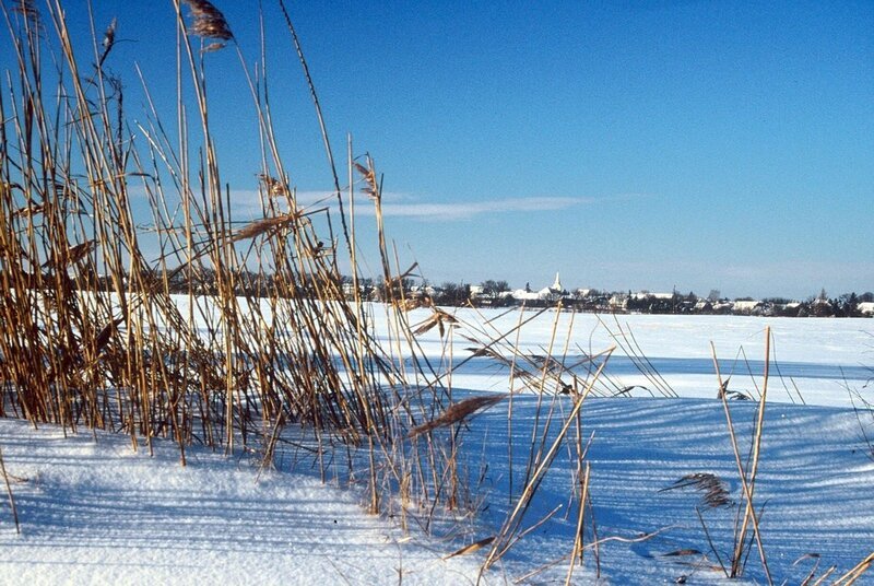 Winterlandschaft in Drösing. – Bild: ORF III