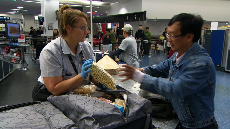 Um Verstöße am Flughafen Melbourne zu vermeiden, haben die Zollbeamten alles im Auge, was ungewöhnlich erscheint – Bild: Seven Productions 2018 Lizenzbild frei