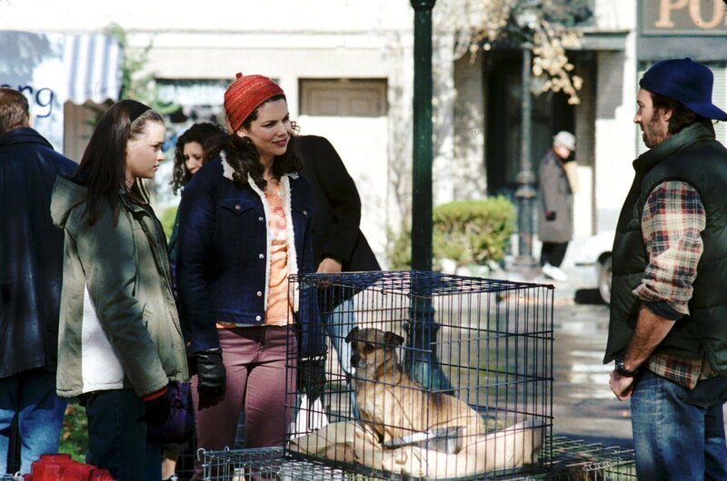 Bei Rory (Alexis Bledel, l.), Lorelei (Lauren Graham, M.) und Luke (Scott Patterson, r.) ist immer etwas los … – Bild: Warner Bros.