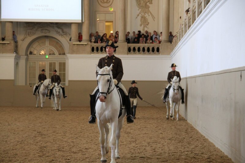 Bereiter mit Lippizaner bei der Morgenarbeit in der Spanischen Hofreitschule in Wien. – Bild: Bewegte Zeiten GmbH/​Joachim Walther
