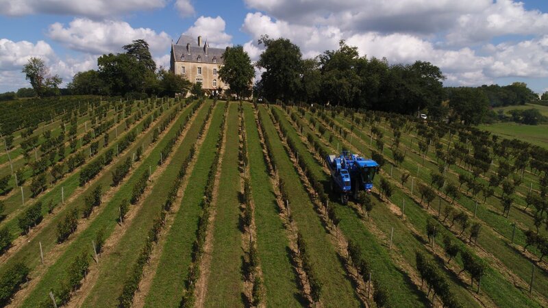 Scene from the documentary Bordeaux für die Chinesen – Bild: Spiegel TV Wissen (DE)