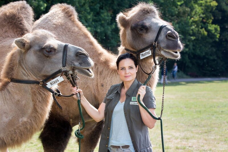 Tierärztin Dr. Susanne Mertens (Elisabeth Lanz). – Bild: ARD/​Steffen Junghans
