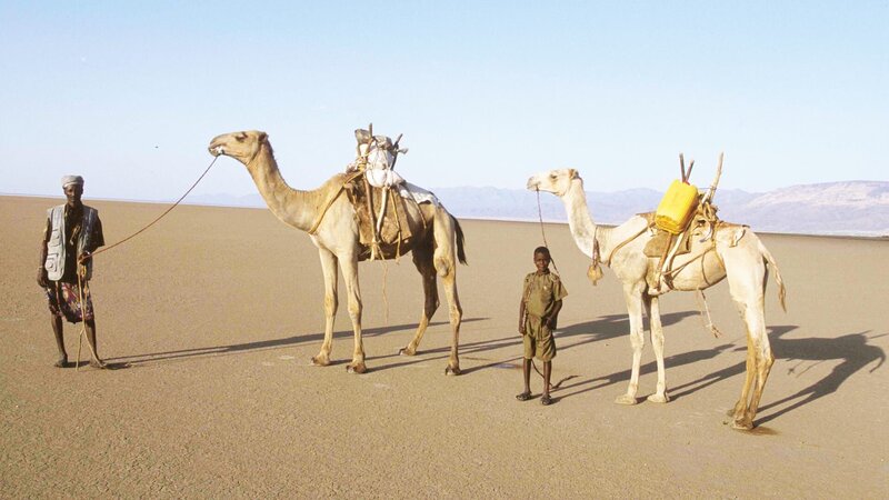 12 year old Wario and his father in the dessert, in search for salt – Bild: CuriosityStream