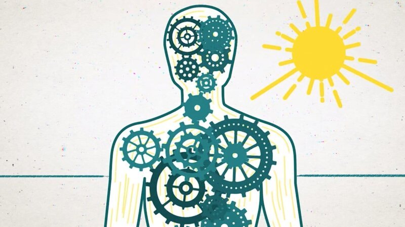 42 – Die Antwort auf fast alles Folge 6 Das Sonnenlicht eicht die innere Uhr: So werden alle rhythmischen Prozesse im Körper aufeinander abgestimmt. – Bild: SRF/​NDR/​ARTE