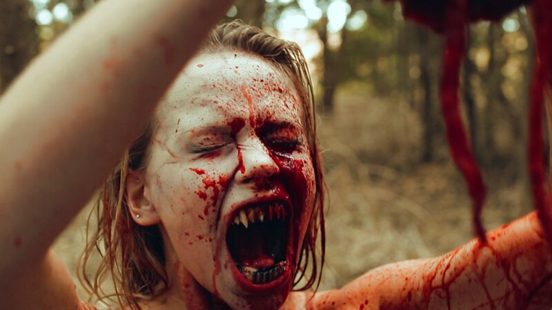 . – Bild: Silverline