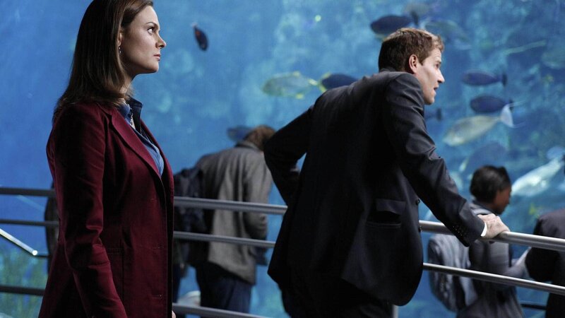 Im Magen eines Tigerhais wurden menschliche Überreste gefunden. Bissspuren führen Brennan (Emily Deschanel, l.) und Booth (David Boreanaz) ins Washingtoner Aquarium. – Bild: RTL /​ FOX