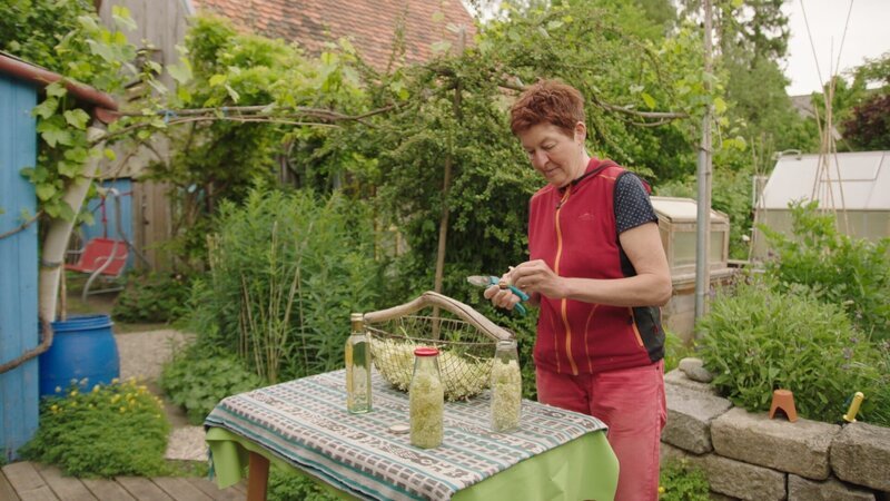 Renate Hudak liebt es, die Blüten des Holunders zu verarbeiten. – Bild: BR Renate Hudak liebt es, die Blüten des Holunders zu verarbeiten. – Bild: BR