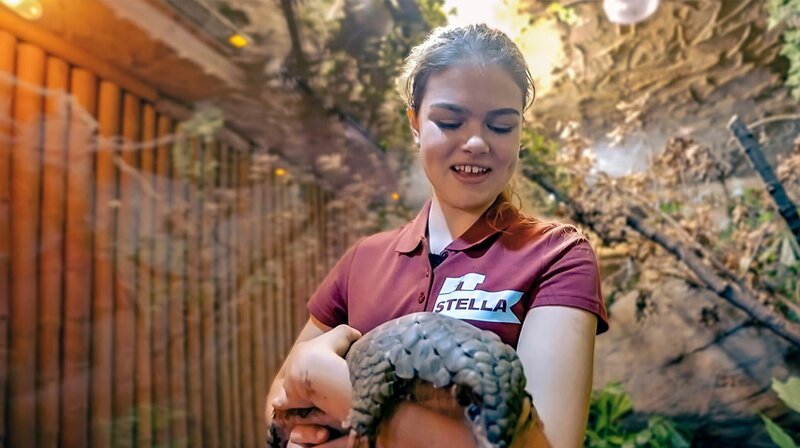 Stella lernt die stark vom Aussterben bedrohten Schuppentiere kennen und ist völlig fasziniert. – Bild: MDR/​Cine Impuls Leipzig GmbH