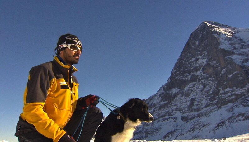 ARD/​NDR SPÜRNASE, FÄHRTENSAU & CO. (17), „Familienzusammenführung“. Für die beiden einjährigen Lawinenhunde, Bordercollie Cami und Labrador Spike, geht es weiter mit der Ausbildung in den Schweizer Alpen. – Bild: NDR/​5ǀ14 FILM