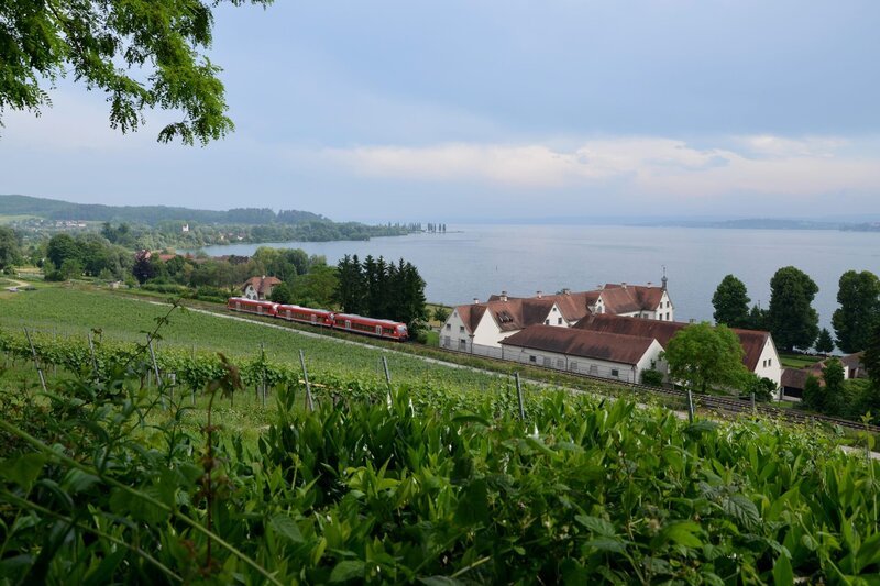 Das „Seehänsele“ beim Kloster Birnau. – Bild: SWR/​Bettina Bansbach
