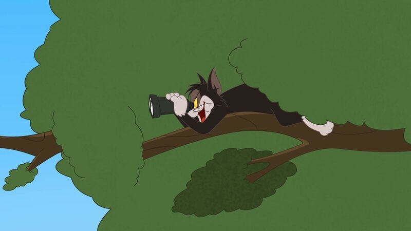 Butch Cat – Bild: Courtesy of Warner Brothers