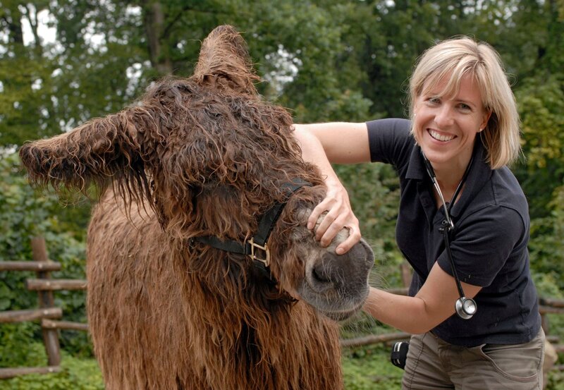 Die Zootierärztin Dr. Sandra Silinski inspiziert Poitou-Esel Fridolin. – Bild: Melanie Grande