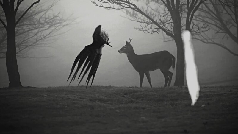 Der Geist – Bild: TLC (DEUT)