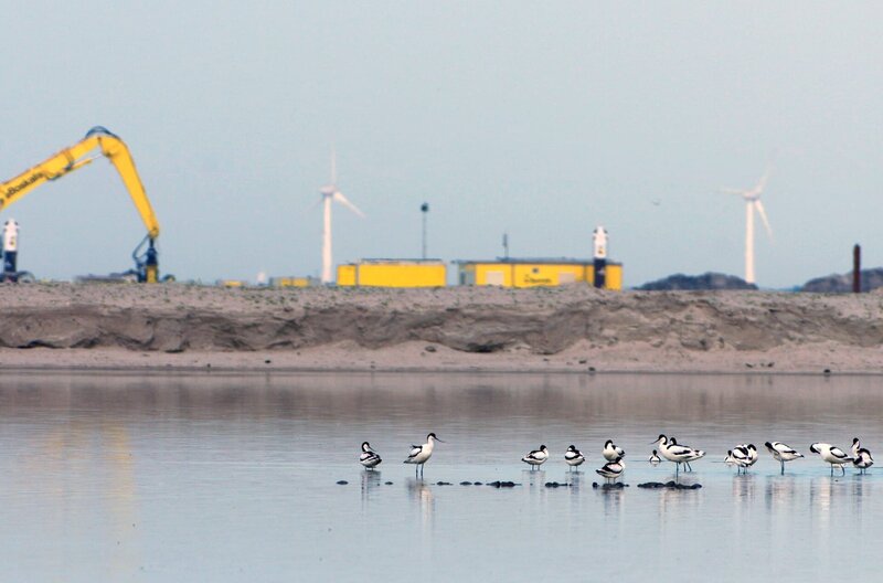 Niederlande: Neue Naturinseln im Markermeer – Bild: Ispida Wildlife Productions/​BNNVARA