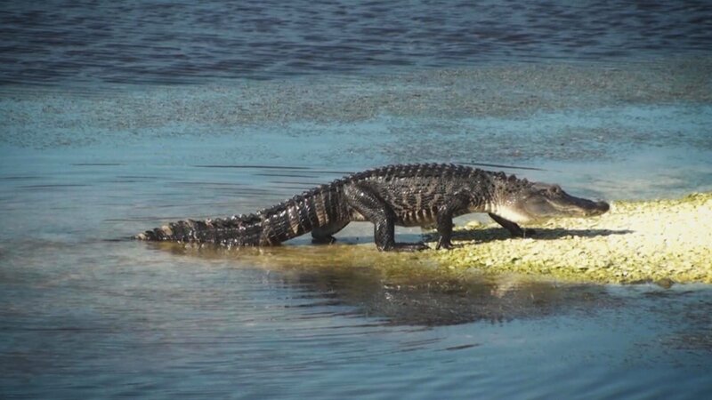 . – Bild: Warner Bros. Discovery