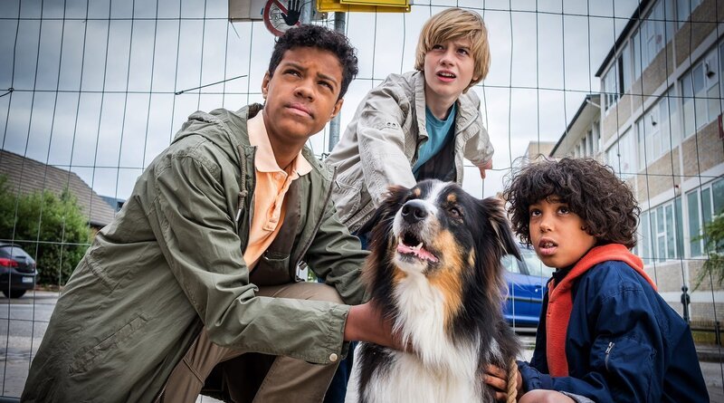 Tayo ( Samuel Adams, li.), Levin (Moritz Pauli, Mi.) und Femi (Spencer König, re.) beschützen Pepper vor den gefährlichen Kampfhunden. – Bild: NDR/​Boris Laewen
