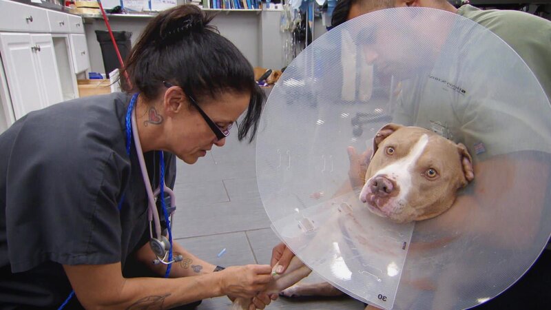 . – Bild: Warner Bros. Discovery