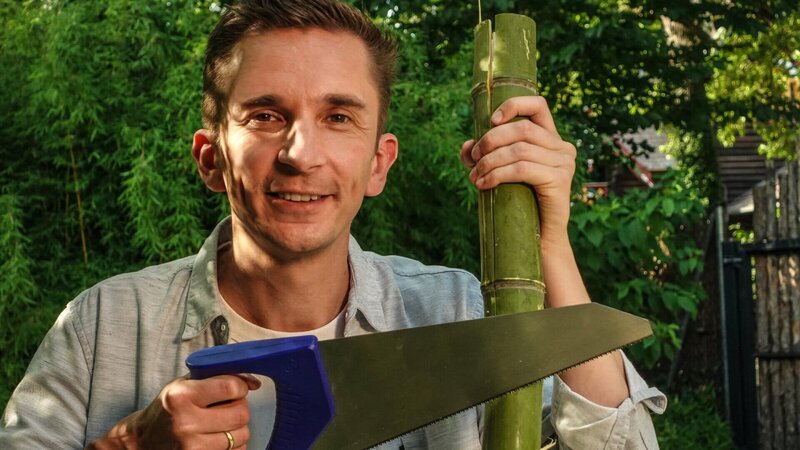 Pandabären ernähren sich fast ausschließlich von Bambus. Doch wie knacken sie die harten Stangen? „PUR+“-Moderator Eric Mayer ist im Zoo Berlin und besucht dort die Pandabären-Familie. Eric Mayer macht ein kleines Experiment, um herauszufinden, wie schwierig es ist, Bambusstangen zu knacken und zu schälen. – Bild: ZDF und Ilka Wensing